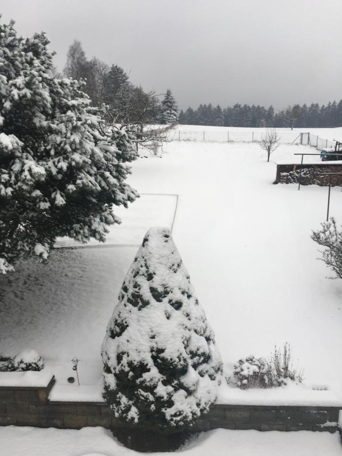 Haus Bergblick Holiday home *
